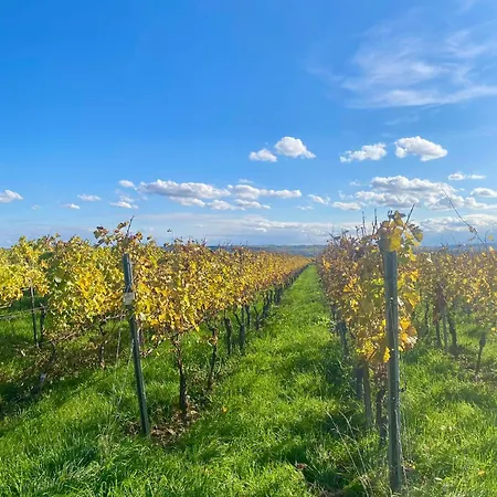 Kstay Penthouse Mit Parkplatz Zentral In Eltville *