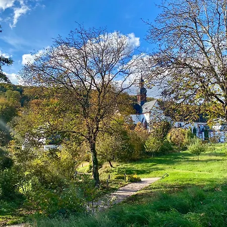 Kstay Penthouse Mit Parkplatz Zentral In Eltville * التيف